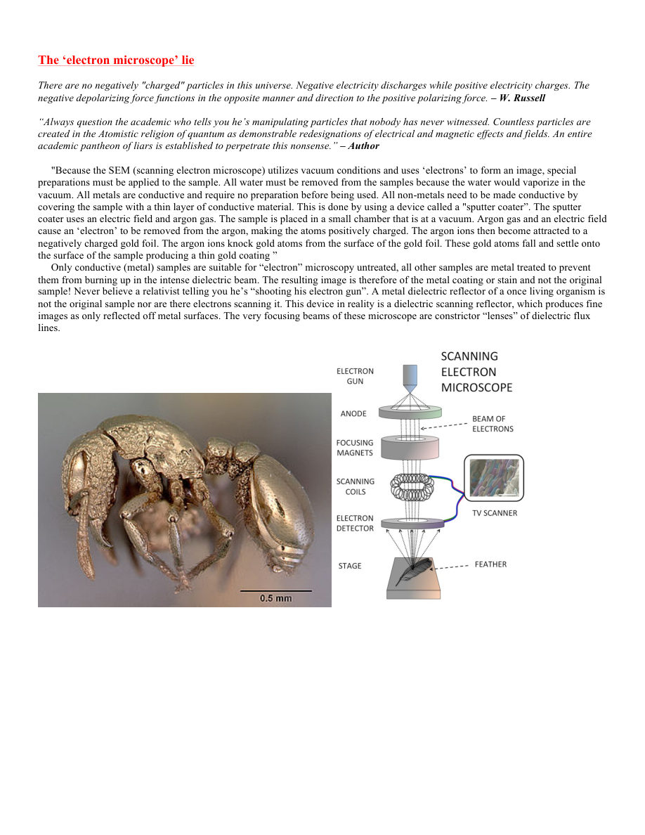 Original PDF page 19