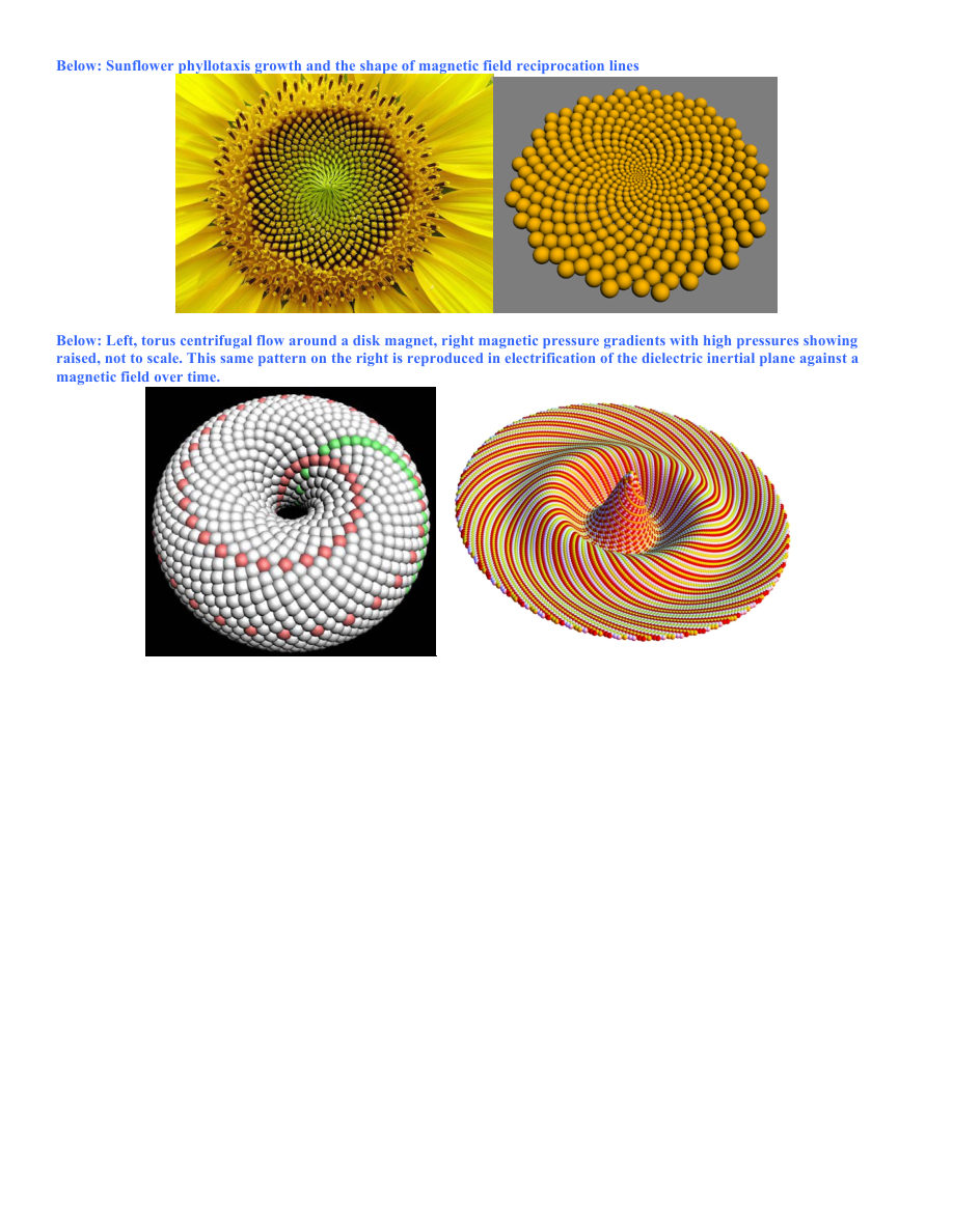 Original PDF page 49