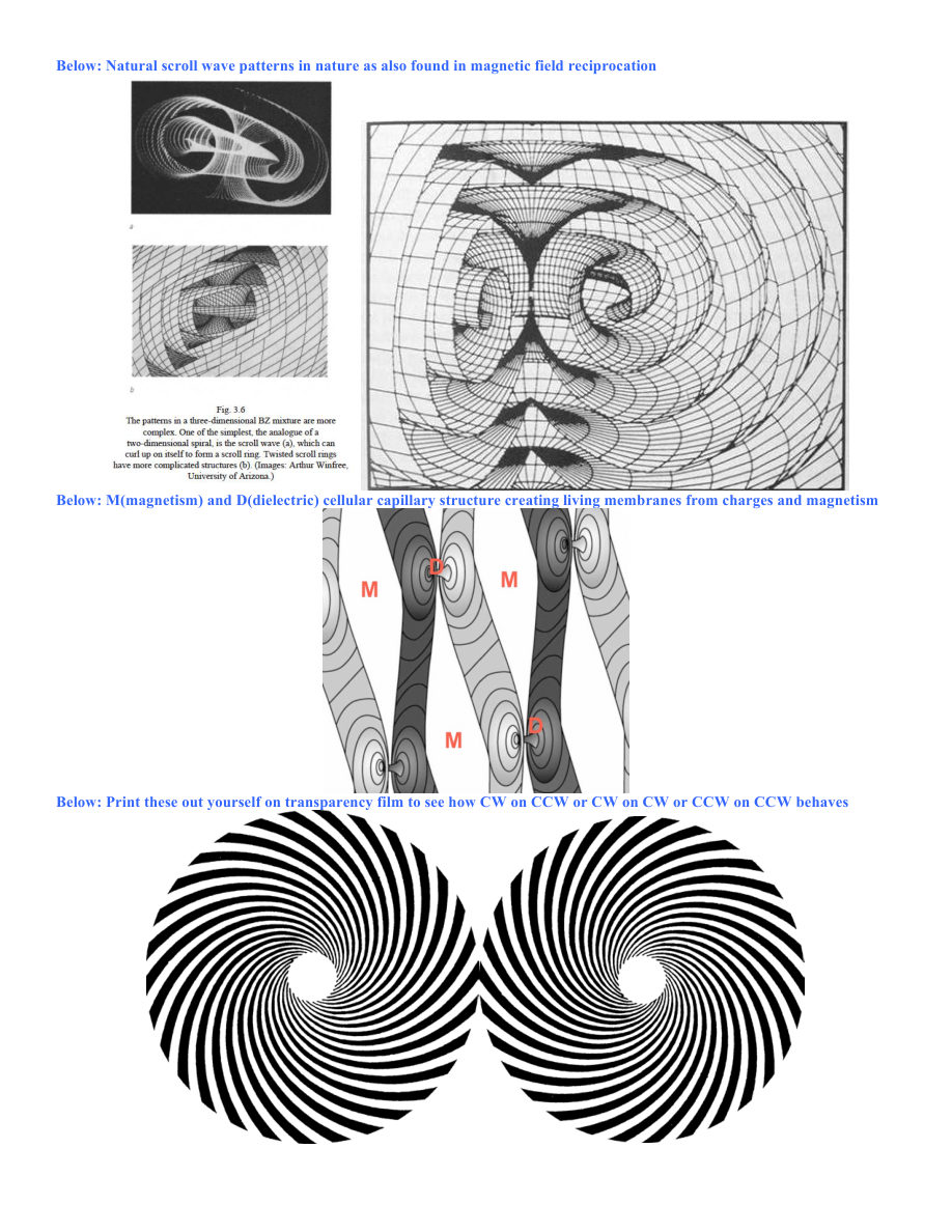 Original PDF page 52