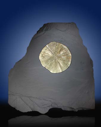 Below: Left picture is pyrite ‘dollar’ in its native anthracite coal shale which is diamagnetic carbon. On right identical dual pyrite ‘dollar’ formation intersecting at the known 1/Phi^-2 (.381966) and Phi (1.618033).