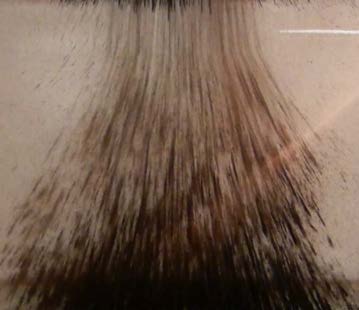 Below: One of my ferrofluid inventions/ suspensions with one of the poles above causing dielectric coherency in the ferrous particles and resultant acceleration to the pole-face. This is dielectric induction coherency. W