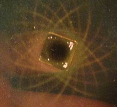 Below: Left, ¼ cube magnet under the ferrocell showing the hypotrochoid polarized hyperboloid of centrifugal magnetism. Likewise the same in the middle picture and on the right, the 137.5077 angles of growth, divergence,