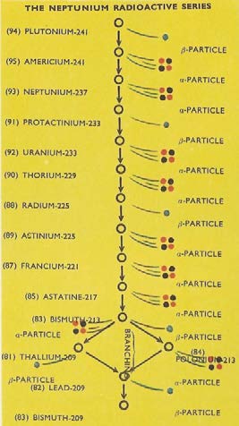 Below: Thorium decay series, Uranium (dual) decay series, and lastly the neptunium radioactive decay series which terminates into bismuth.