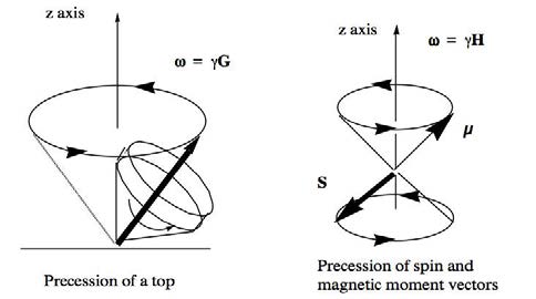 Below: Showing states of precession from dielectric torque being exerted upon the protons in the nucleus.