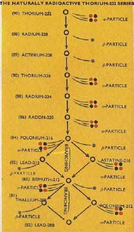 Below: Thorium decay series, Uranium (dual) decay series, and lastly the neptunium radioactive decay series which terminates into bismuth.