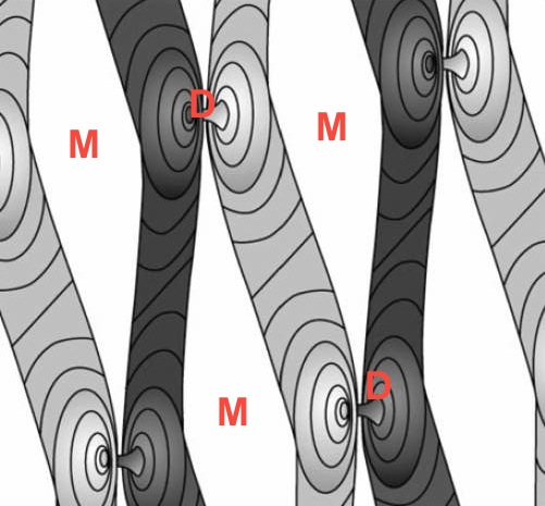 Below: M(magnetism) and D(dielectric) cellular capillary structure creating living membranes from charges and magnetism