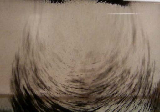 Below: One of my ferrofluid inventions/ suspensions with the poles laying flat left to right, exposing the dielectric inertial plane to the ferrofluid in my special suspension. Notice that polarization exists in the ferr