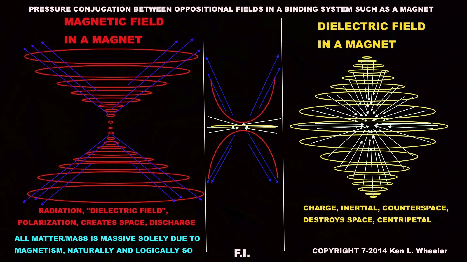 Below: showing mutual fields views of magnetism and dielectricity as separated out showing necessitated pressure conjugation. These will shift at breaks, or if a magnet were to be sliced against its dielectric inertial p