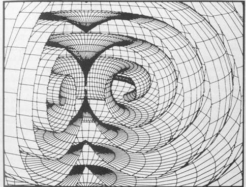 Below: Natural scroll wave patterns in nature as also found in magnetic field reciprocation