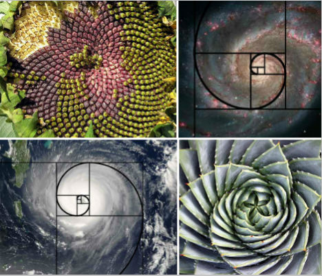Below: Natures own hypotrochoid spatial hyperboloid is mirrored everywhere, and as known by myself in my discovery, is likewise found in magnetic field divergent reciprocations. Empirical evidence for this discovery was 