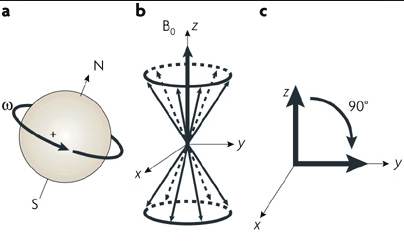 Below: Left, showing protonic precession from radial dielectric influence. Middle and right, showing the precessional geometry as products of acceleration, force, and lateral torque.