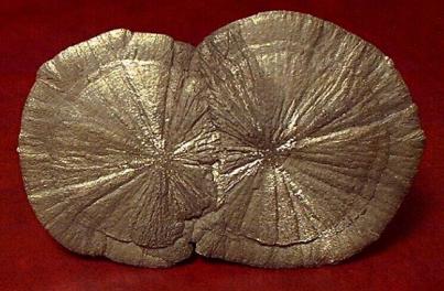 Below: Left picture is pyrite ‘dollar’ in its native anthracite coal shale which is diamagnetic carbon. On right identical dual pyrite ‘dollar’ formation intersecting at the known 1/Phi^-2 (.381966) and Phi (1.618033).