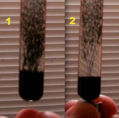 BELOW: Left is a special formulation of ferrofluid immersion, which shows the centripetal vortex of the magnet below it. On the right is standard ferrofluid as explained for the first time ever here.