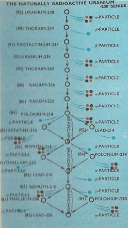 Below: Thorium decay series, Uranium (dual) decay series, and lastly the neptunium radioactive decay series which terminates into bismuth.