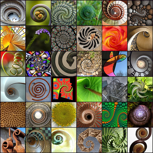 Below: Natures own hypotrochoid spatial hyperboloid is mirrored everywhere, and as known by myself in my discovery, is likewise found in magnetic field divergent reciprocations. Empirical evidence for this discovery was 