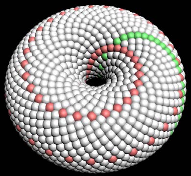 Below: Left, torus centrifugal flow around a disk magnet, right magnetic pressure gradients with high pressures showing raised, not to scale. This same pattern on the right is reproduced in electrification of the dielect