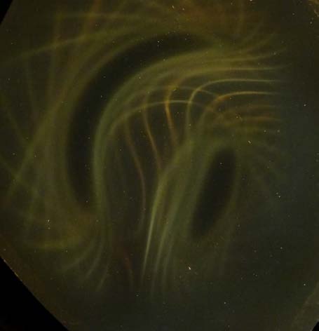 Below: Two pieces of a broken ring magnet on the left, on the right is a 1.5” ring magnet showing the pair of centripetal/ centrifugal hypotrochoid patterns of light as directed by the divergent and convergent magnetism.