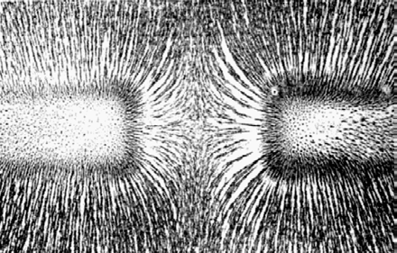 Below: Iron dust models of 2D false “magnetic fields” used by all colleges, textbooks, training tools. These types of field models are critically inaccurate to demonstrate the true model of a magnetic field.