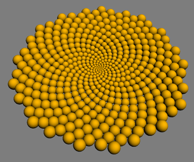 Below: Sunflower phyllotaxis growth and the shape of magnetic field reciprocation lines