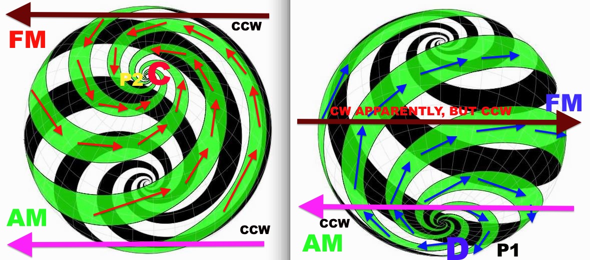 and centripetally. Inverse and interlaced superimposition of the pictures below would be necessary to show the identical but reverse polarity and its reciprocation. Blue arrows demonstrate the divergent vector becoming t